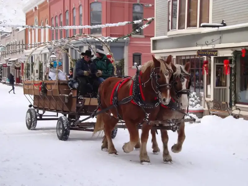 Georgetown Christmas Market (Georgetown)