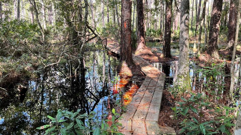 Florida National Scenic Trail Segments: A Journey Through Centuries of Landscapes