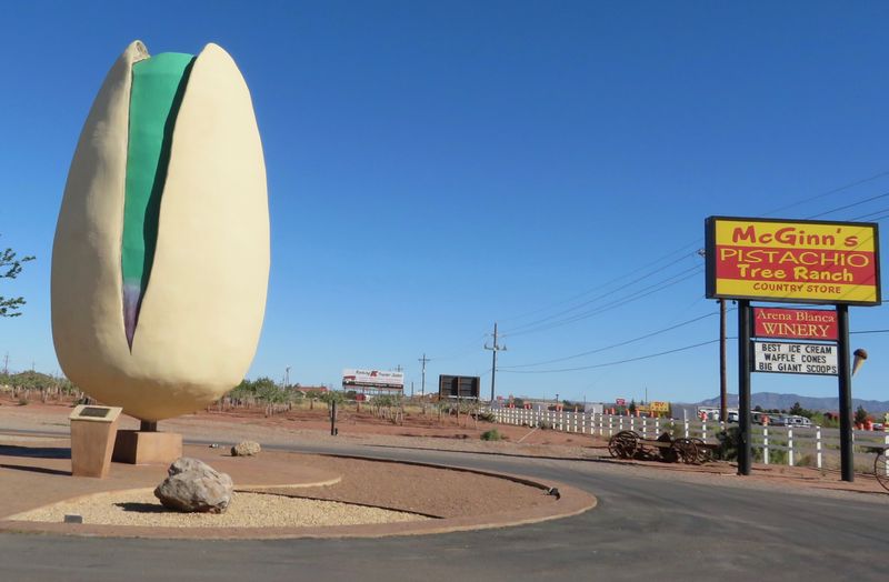 World's Largest Pistachio