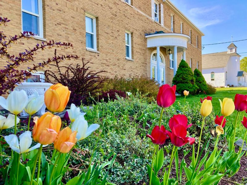 Garden Grove Retreat & Lodging