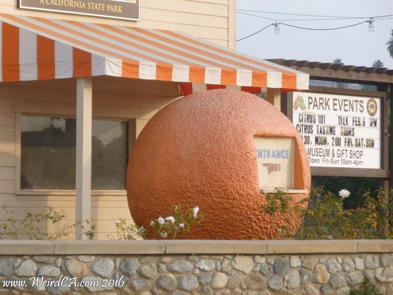 Giant Orange Stands (Central Valley and Inland Empire)