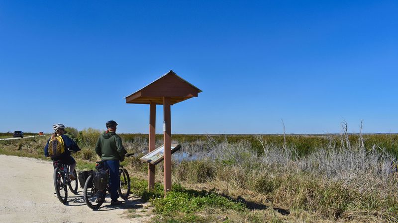 Lake Apopka Loop Trail: A Wildlife Paradise