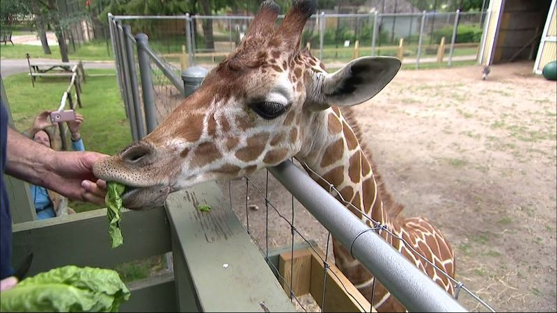 Long Island Game Farm - Manorville