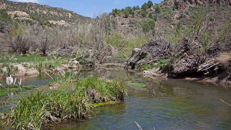 Beaver Dam State Park
