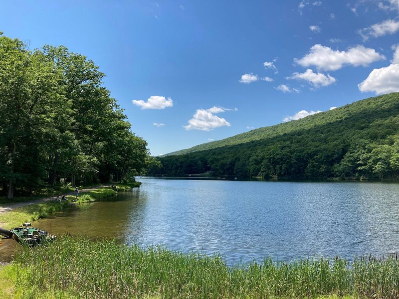 Poe Valley State Park: Remote Beauty in the Bald Eagle State Forest