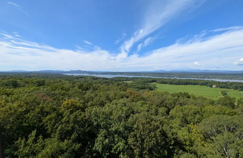 Ferncliff Forest Preserve: A Treetop Adventure