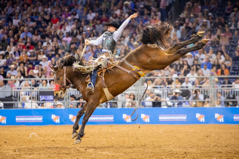 Houston Livestock Show And Rodeo