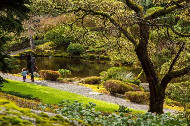 Bloedel Reserve's Enchanted Forest