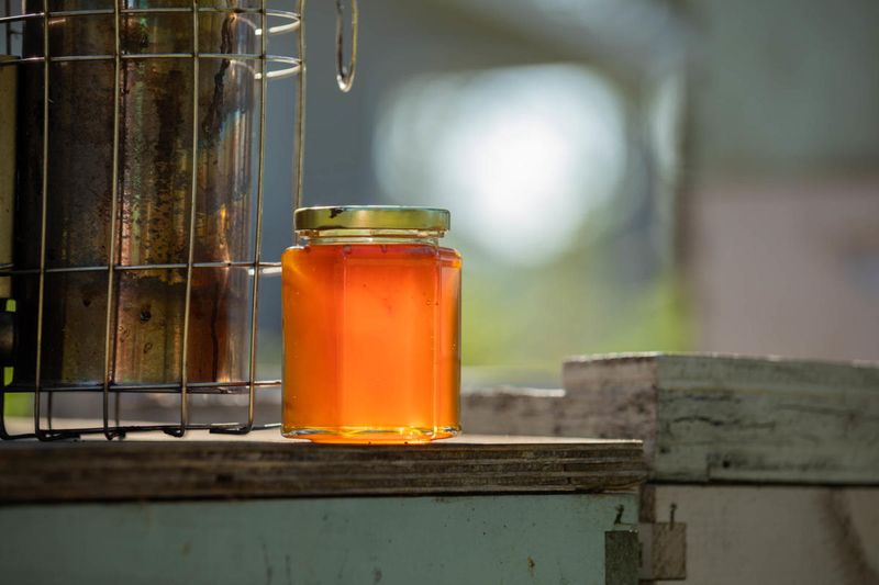 Tupelo Honey Festival (Wewahitchka, Big Bend Region)