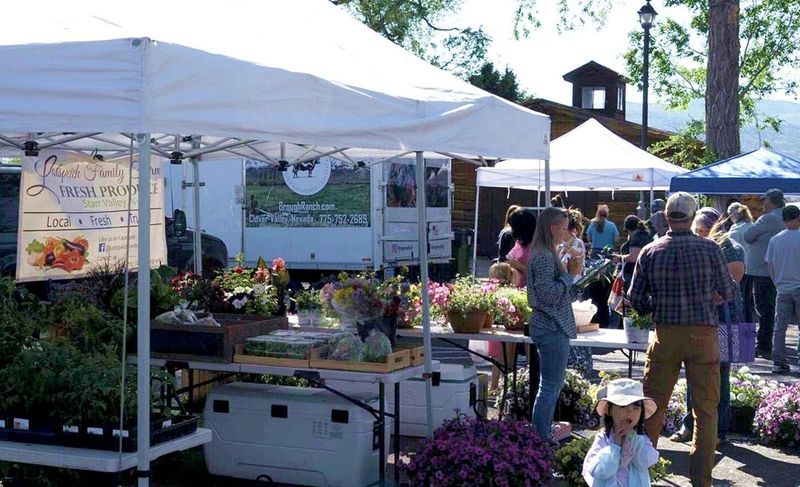 Elko Family Farmers Market