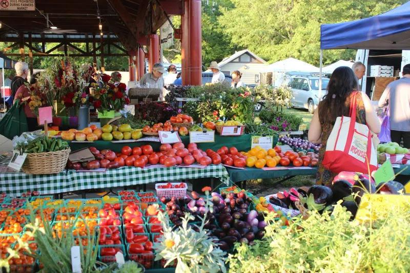 Carrboro Farmers Market: A Pioneer Since 1979