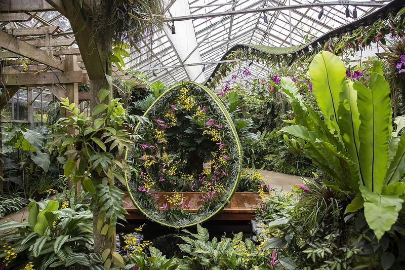 Marie Selby Botanical Gardens: Orchid Paradise