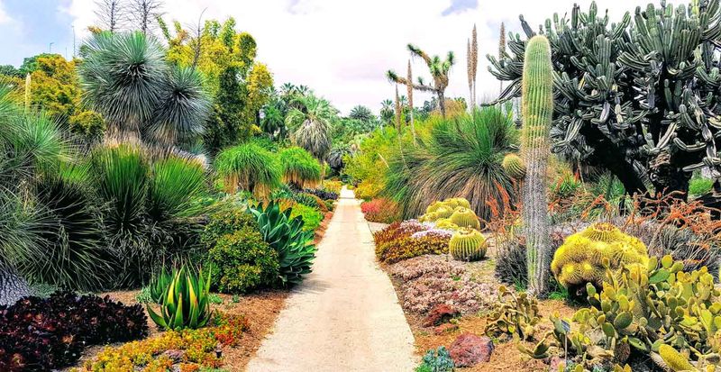 Desert Demonstration Gardens: Water-Smart Inspiration