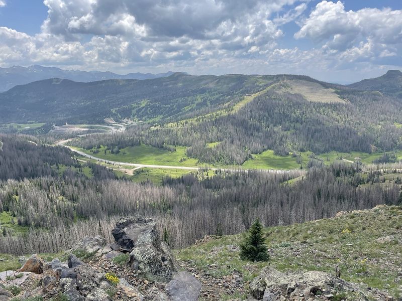 Lobo Overlook: Wolf Creek's Secret Perch