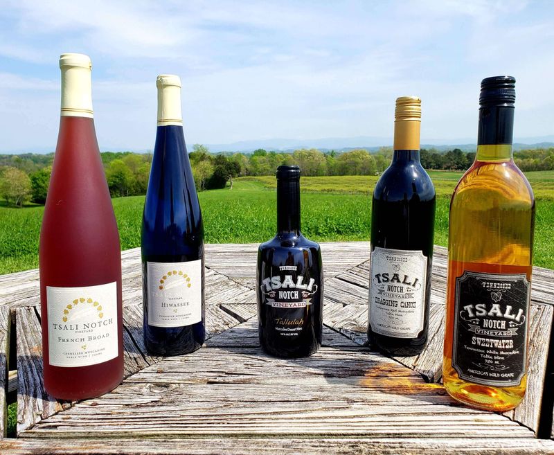 Tsali Notch Vineyard (Madisonville, East Tennessee)