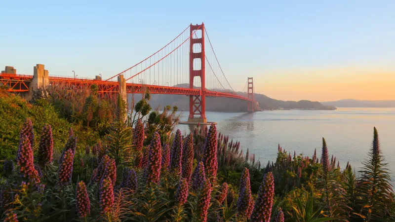 Golden Gate Bridge (San Francisco)