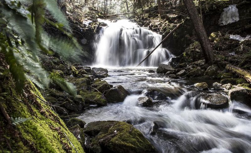 Groff Creek Falls (Adirondacks, near Hope)