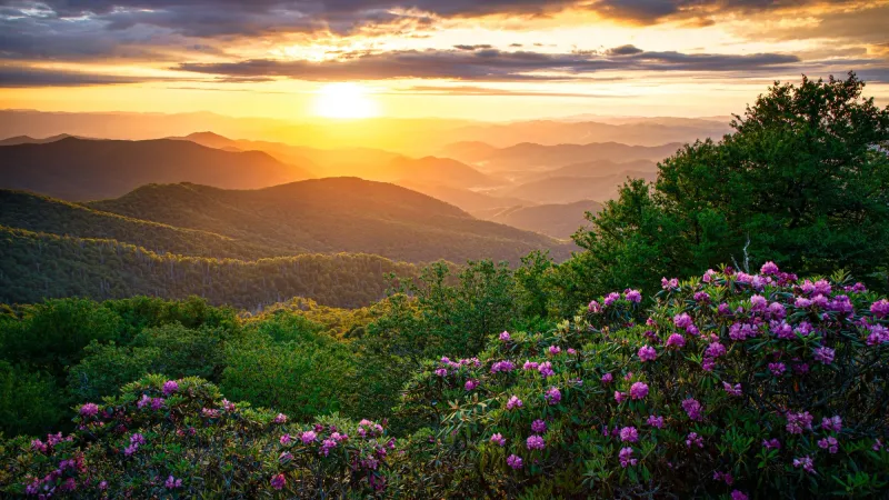 Asheville: Blue Ridge Views and a Thriving Arts Scene