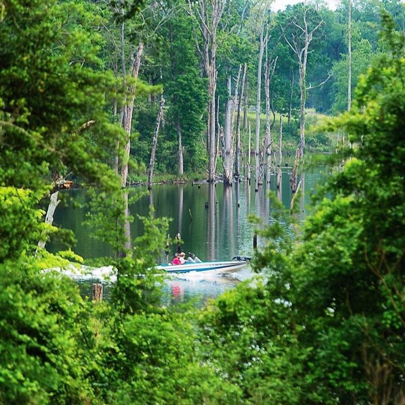 Lake Naconiche: A Pine-Surrounded Haven