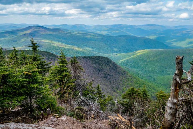 Slide Mountain Wilderness Area