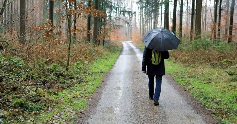 Weather Forecasts Become Useless Predictions
