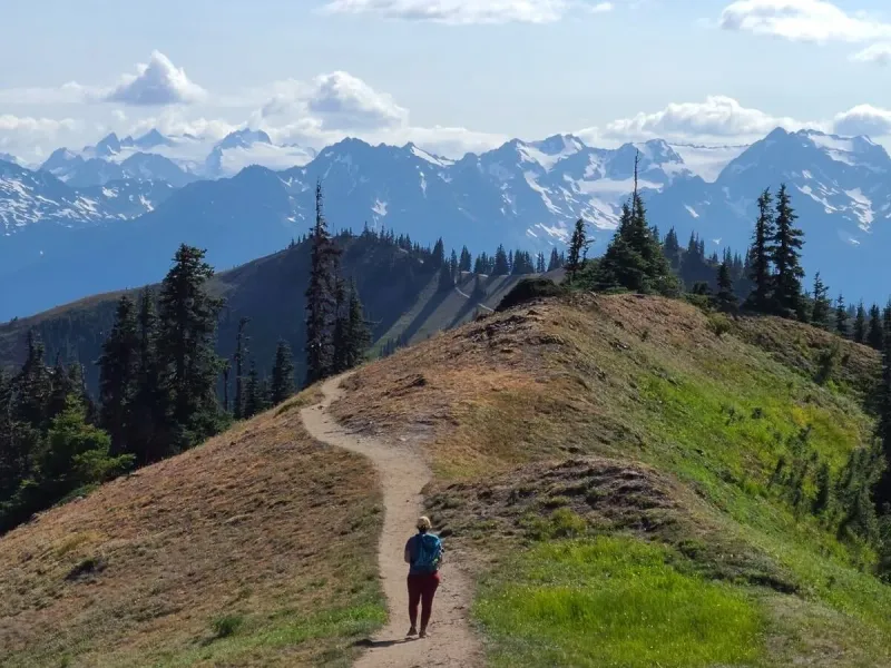 Hurricane Hill Lesser-Known Viewpoints: Quiet Stops Beyond the Summit