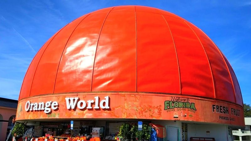 The Giant Orange World