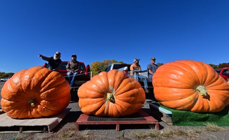 Stillwater Harvest Fest: Pumpkins, Chili Cook-Offs, and Comfort Foods