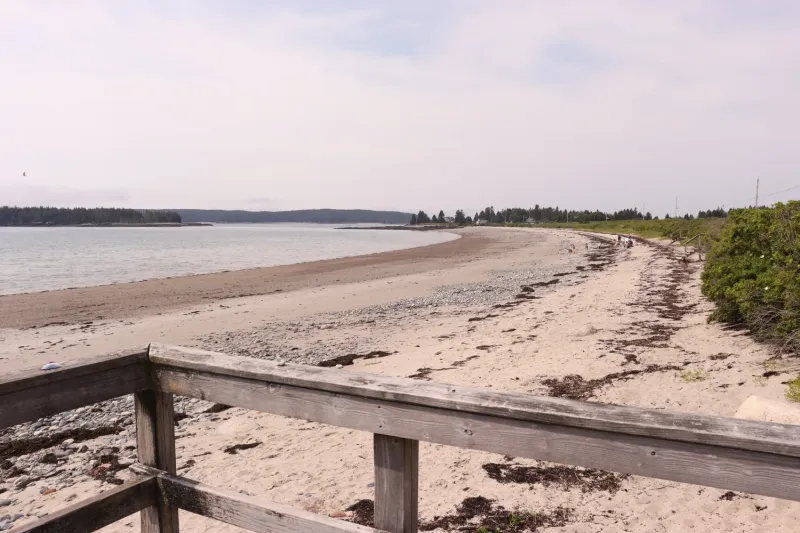 Roque Bluffs State Park Beach: Quiet Sands Overlooking Englishman Bay