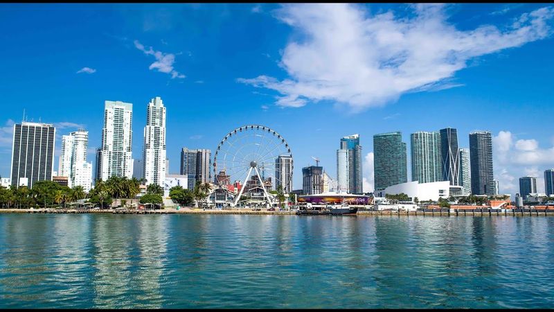 Skyviews Miami Observation Wheel's Pricey Perspective