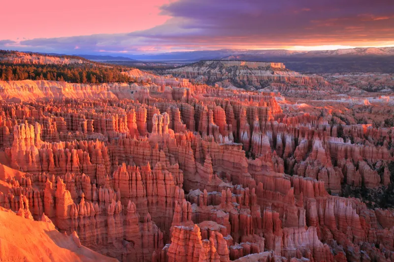 Hoodoos of Bryce Canyon