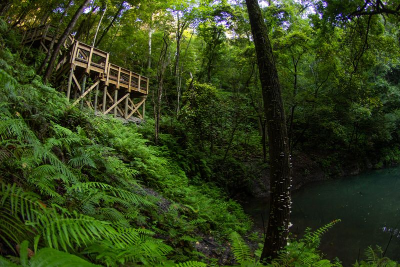 Devil's Millhopper Geological State Park