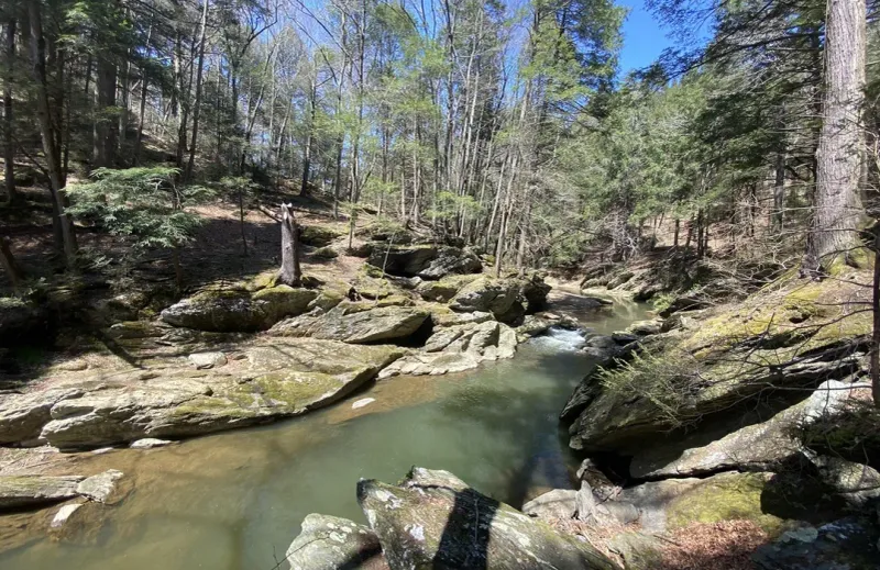 Hemlock Gorge Trail: Nature's Hidden Cathedral