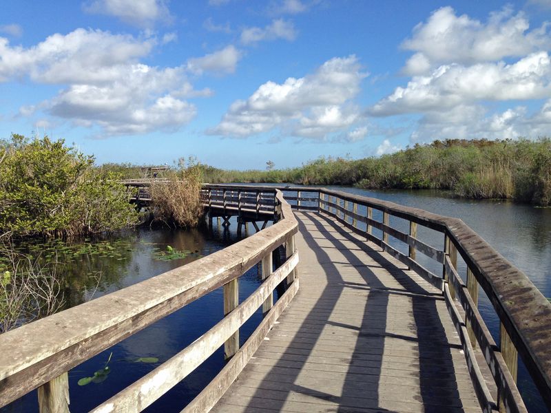 Everglades National Park's Anhinga Trail