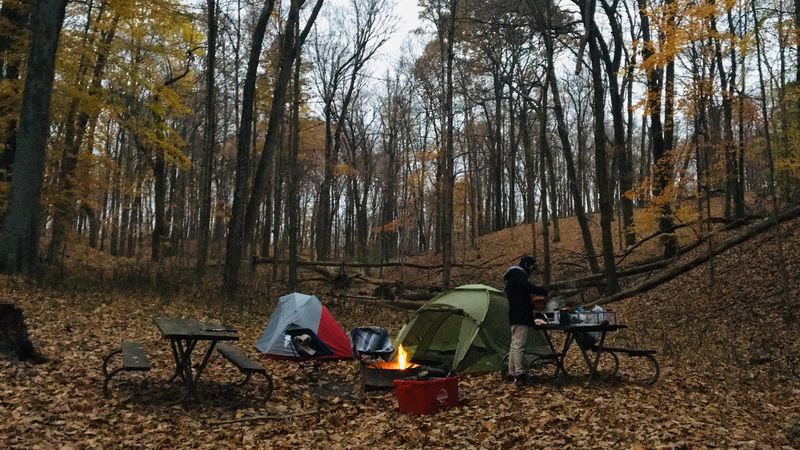Quiet Camping Under Starlit Skies