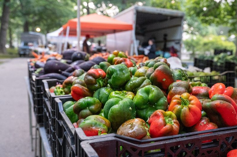 Portland Farmers' Market: Urban Harvest Paradise