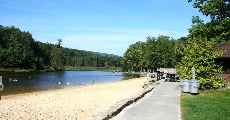 A Sandy Beach Surrounded by Greenery
