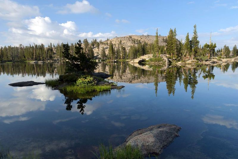 Wildlife Encounters in a Protected Landscape