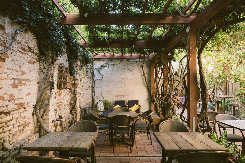 Linnaea's Café: San Luis Obispo's Garden Oasis Since 1984
