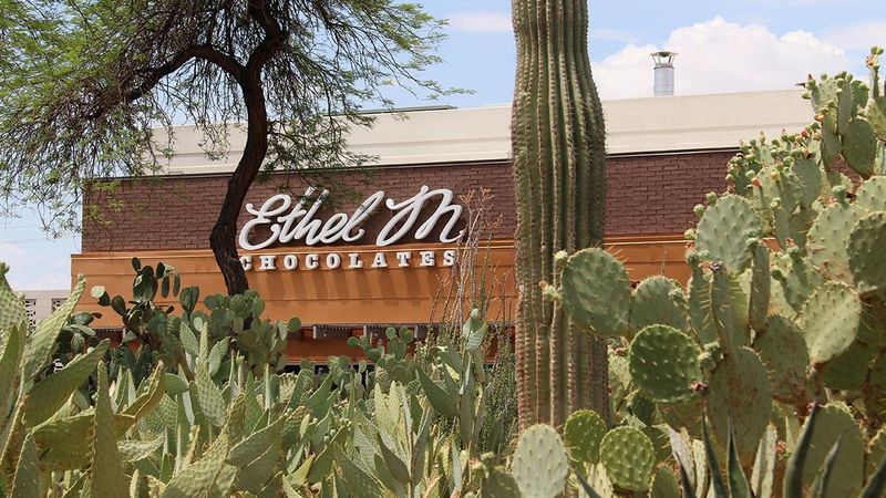 Ethel M Botanical Cactus Garden: Chocolate-Adjacent Sanctuary