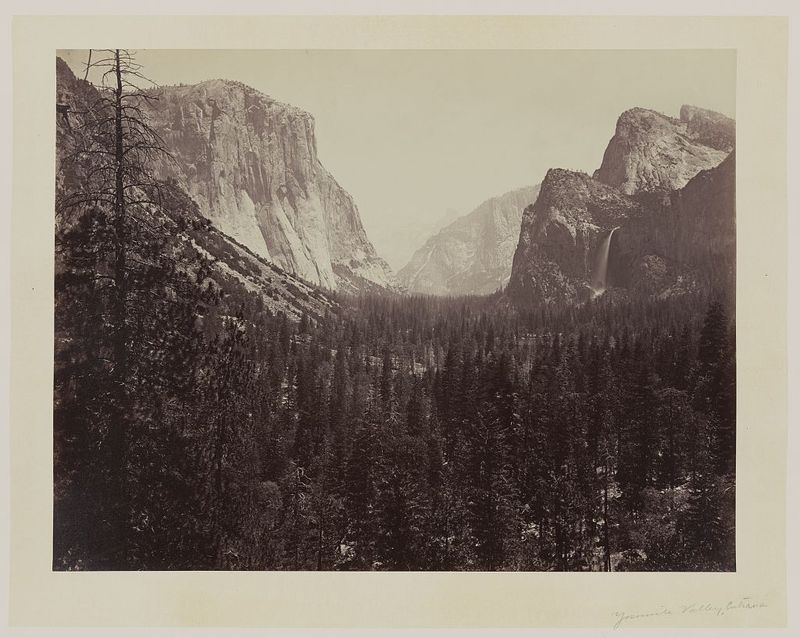 Yosemite Valley's Pristine Wilderness