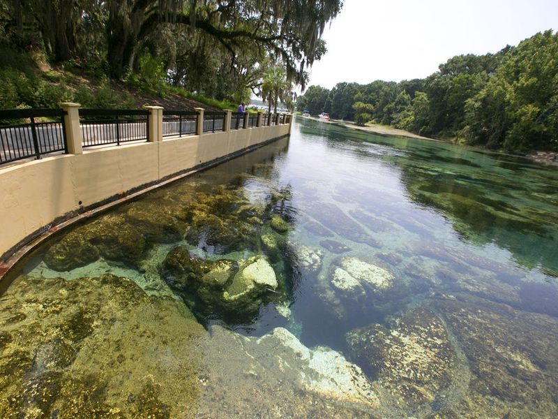 Salt Springs, Ocala National Forest