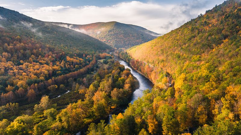 Pine Creek Gorge: The Grand Canyon of Pennsylvania
