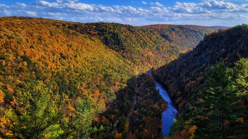 Pine Creek Gorge (Pennsylvania’s Grand Canyon)