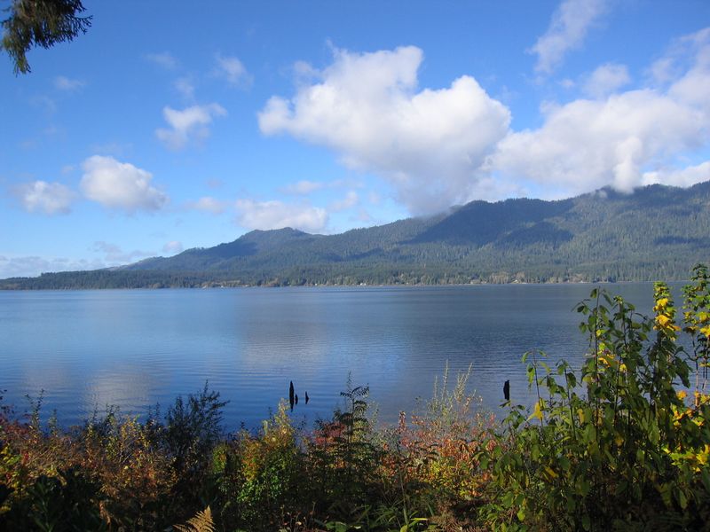 Rainforest Serenity at Lake Quinault