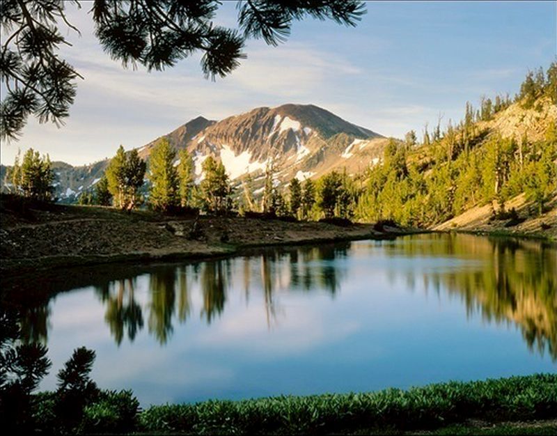 Jarbidge Wilderness Riverbanks