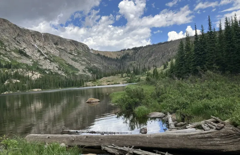 Comanche Peak Wilderness: Untamed Forests