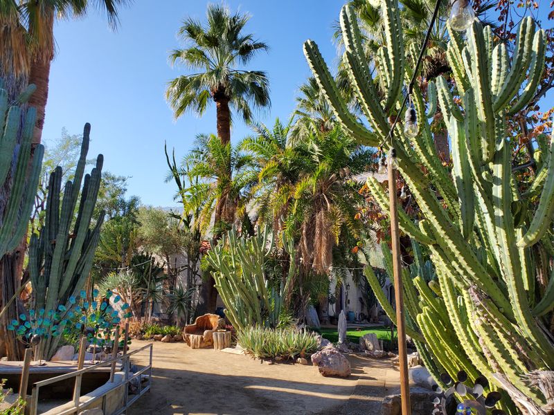 Moorten Botanical Garden, Palm Springs