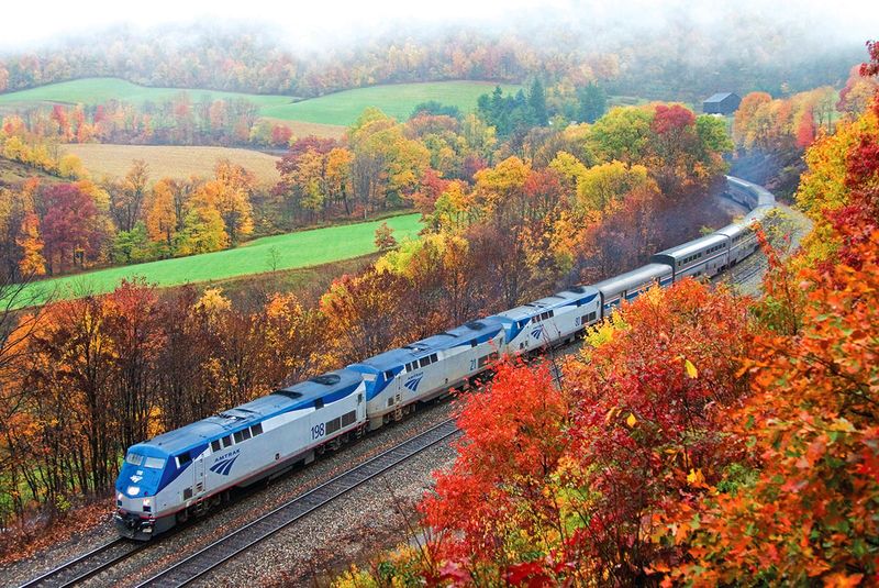 Amtrak Saluki: Rural Illinois at Its Autumn Finest