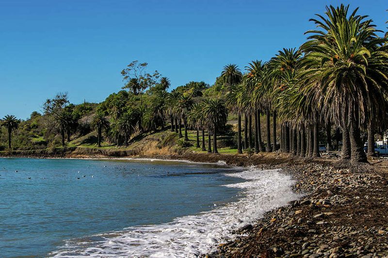 Palm-Lined Shores Create Tropical Magic